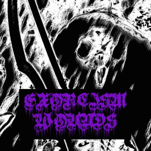 Exorcism Wounds : Beyond the Veil of Putridity